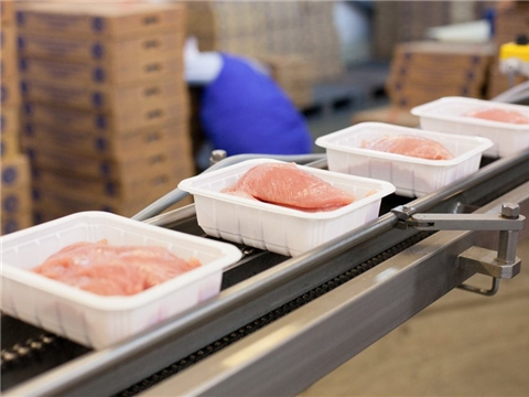 Увеличение объемов производства мяса птицы за счет реконструкции/модернизации площадок для содержания  бройлерного стада