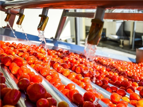 Переработка и консервирование овощей