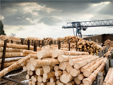 Организация современного производства  путем глубокой переработки древесины полного цикла, ООО «Анмар»