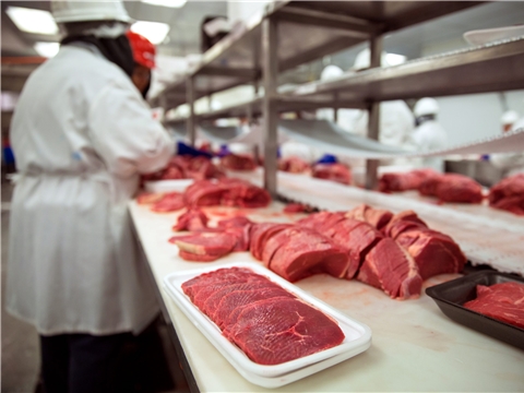 Расширение производства мясоперерабатывающего цеха