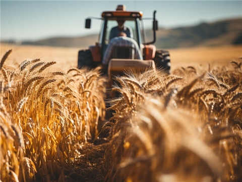 Создание агротехнопарка и жилого квартала в районе д. Ландыши