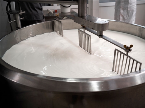 Строительство цеха по переработке молока, производство сыра и кисломолочных продуктов