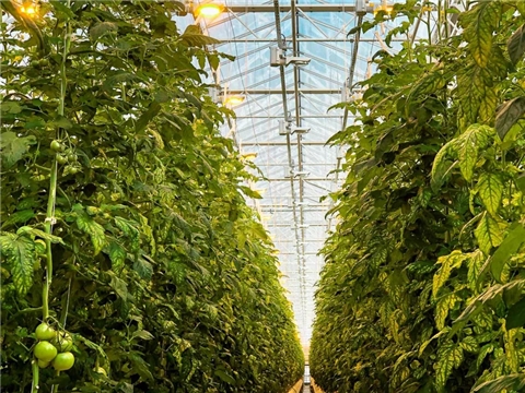 Строительство водосборного сооружения для отвода промышленных стоков тепличного комплекса