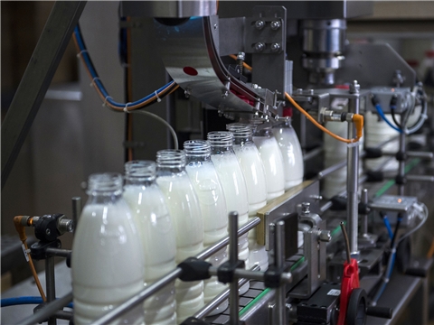 Строительство цеха по переработке молока, сыра и кисломолочных продуктов, КФХ Иларионова С.Р.
