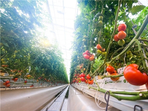 Модернизация производства (система доставки, система управления климатом) и другие