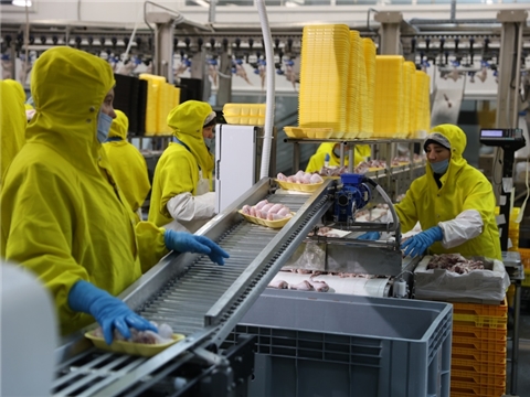 Модернизация и ремонт на заводе по убою