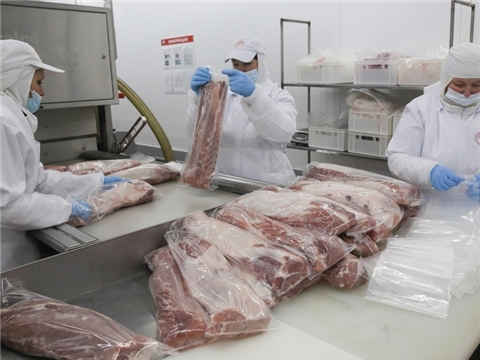 Строительство цеха по первичной переработке мяса, КФХ Садертдинов Р.А.