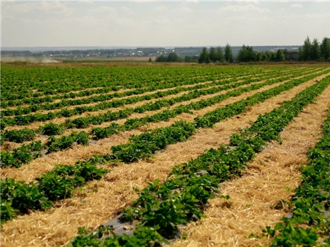 Строительство производственного цеха