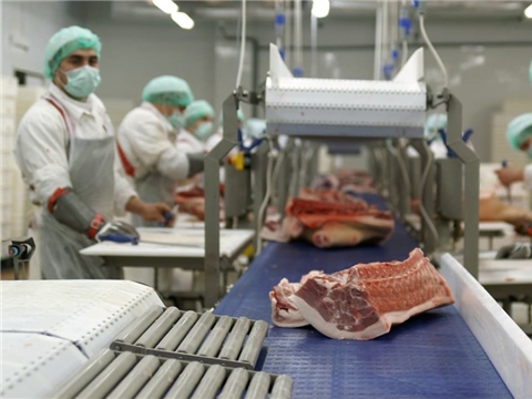 Строительство цеха по первичной переработке мяса, СППССК "Триумф-Агро" Сафиуллин Р.З.