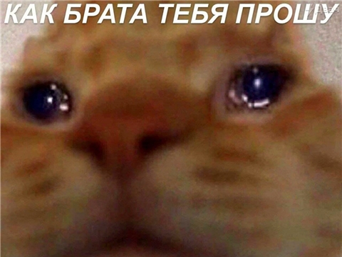 qwe1
