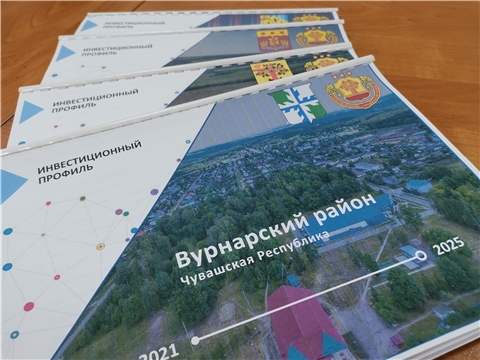 До конца года все муниципальные образования Чувашии должны разработать свои инвестиционные профили