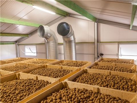 Строительство современного хранилища картофеля и овощей для их предпродажной подготовки в Чувашской Республике мощностью 10 тыс. т, ООО «НПП»