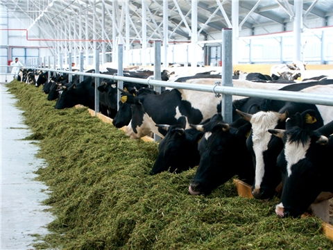 Строительство молочно-товарной фермы на 400 голов, ООО «Эмметево»